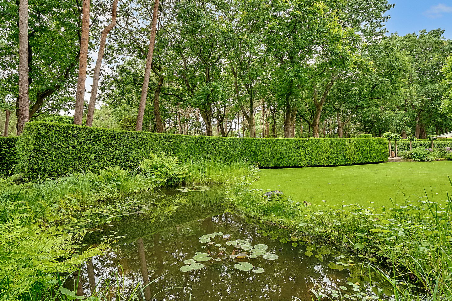 Photo 55 of Tolhuislaan 1