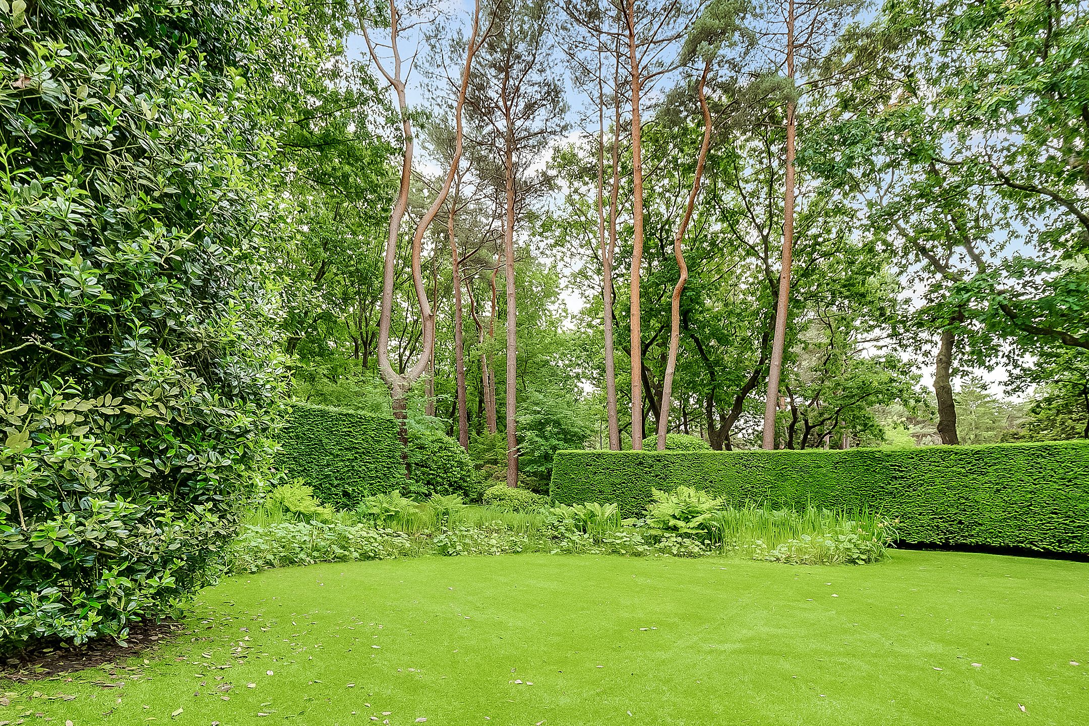 Photo 51 of Tolhuislaan 1