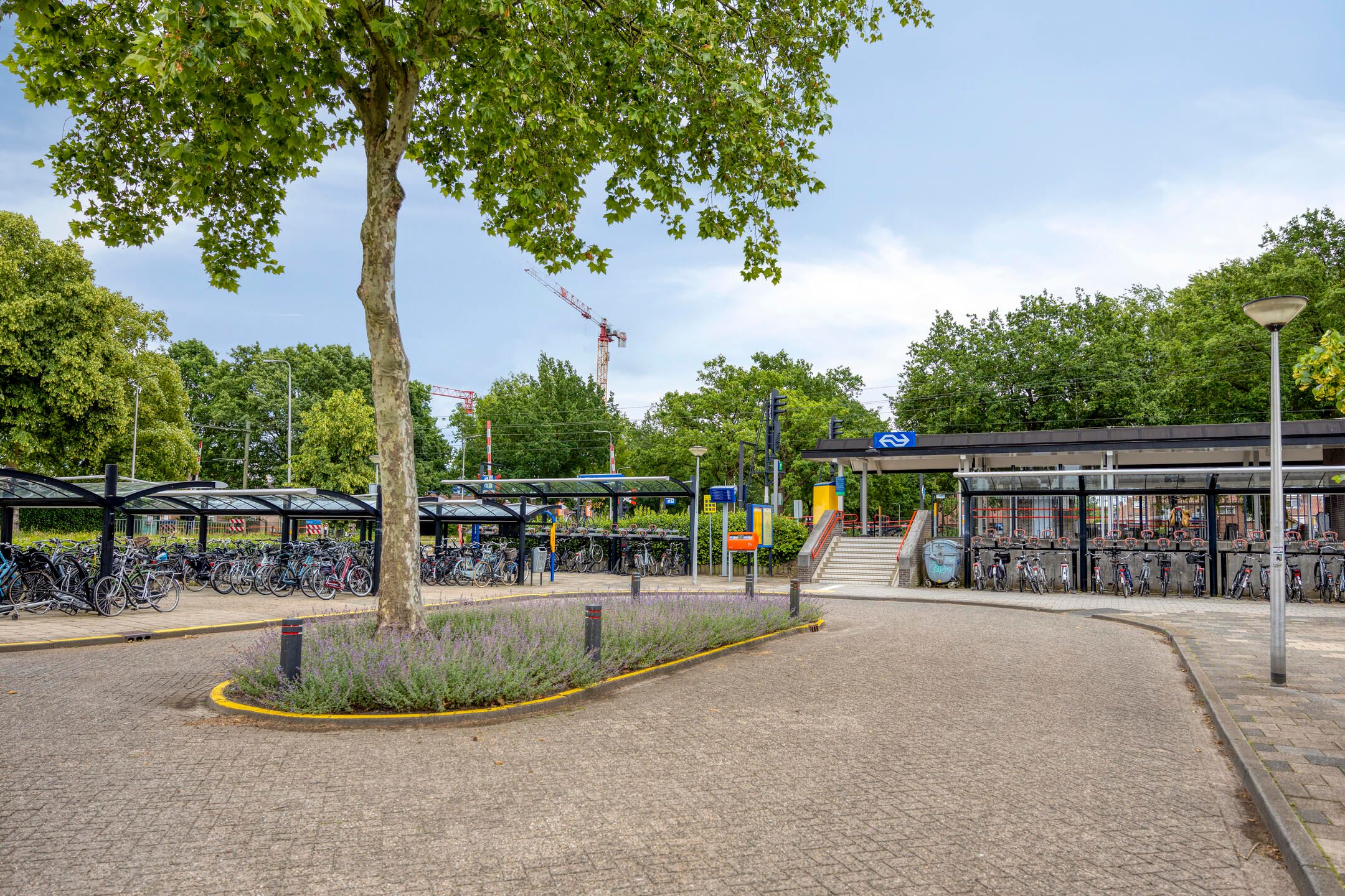 Photo 45 of Zwingelstraat 15