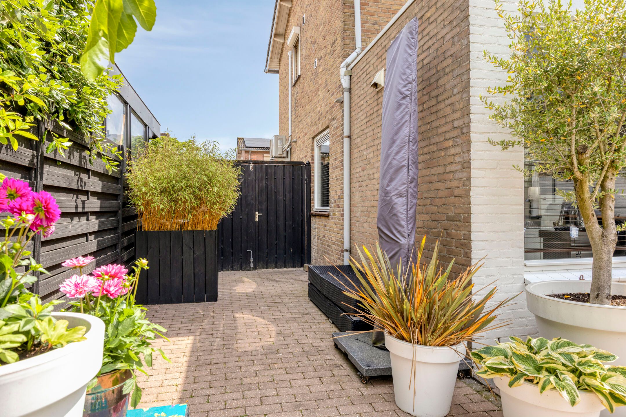 Photo 42 of Zwingelstraat 15