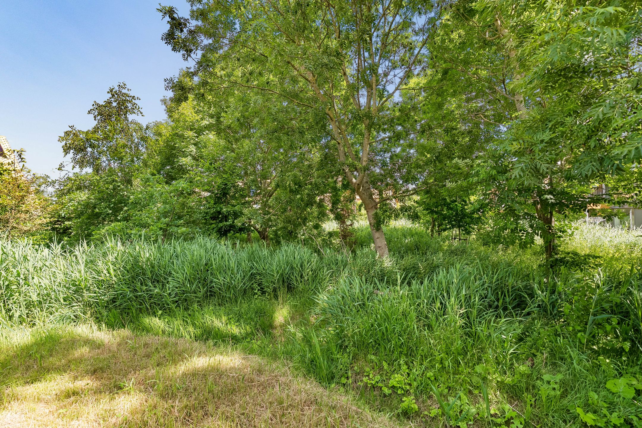 Photo 33 of Noorderduinstraat 621