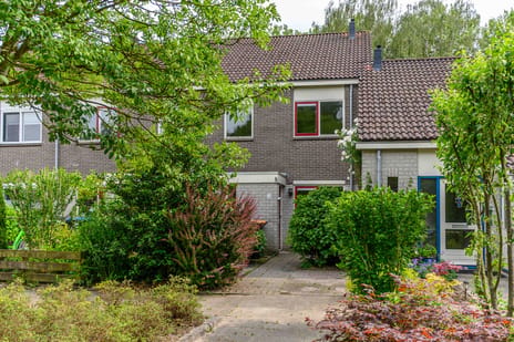 Middelplaat thumbnail