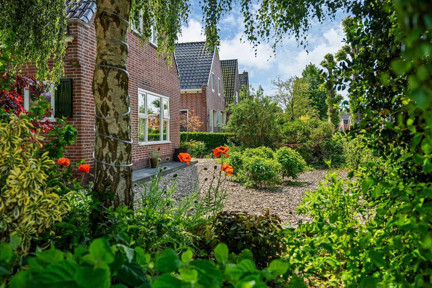 Foto 4 van Burgemeester Drijberweg 27