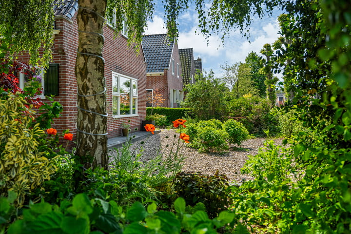 Foto 4 van Burgemeester Drijberweg 27
