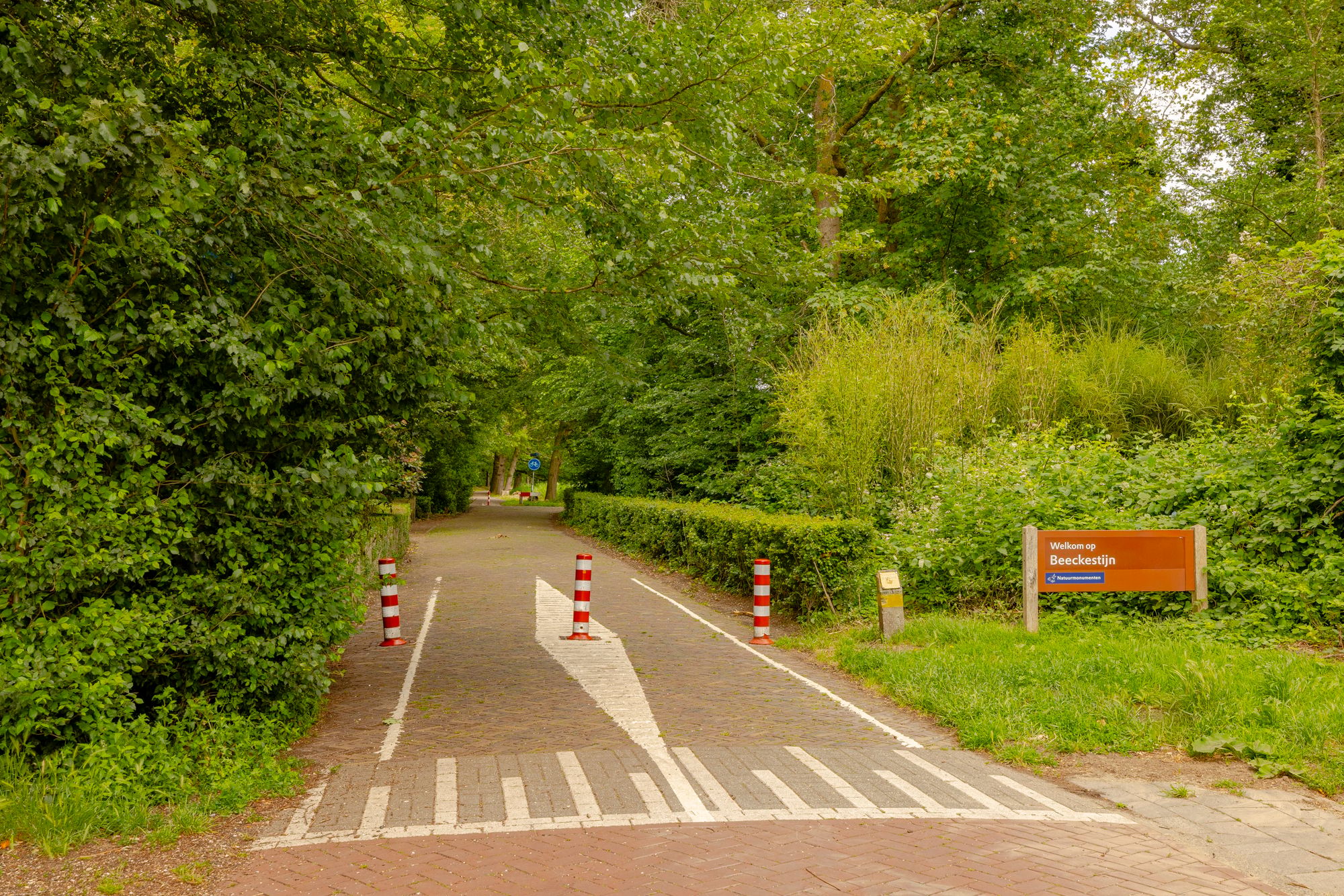 Foto 45 van P.C. Hooftlaan 29
