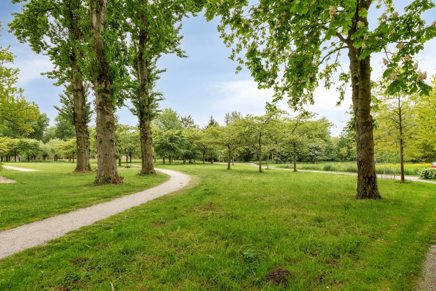 Foto 40 van Sloepstraat 31