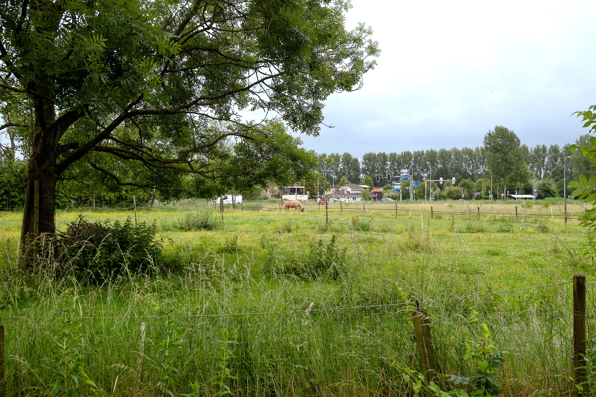 Photo 39 of Groningerweg 31