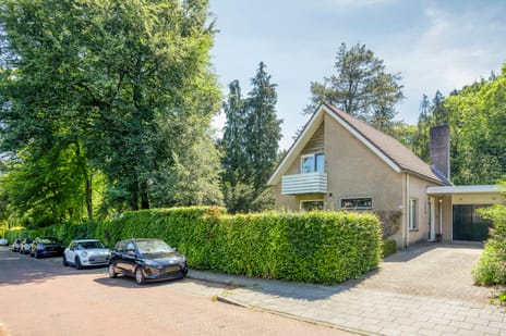 Bernard ter Haarlaan thumbnail