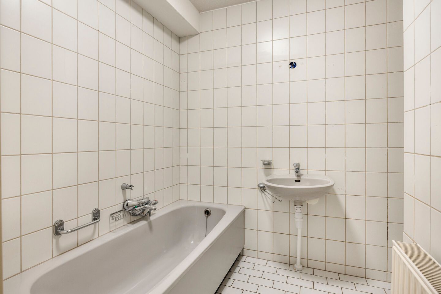 Photo 19 of Eidereend 52