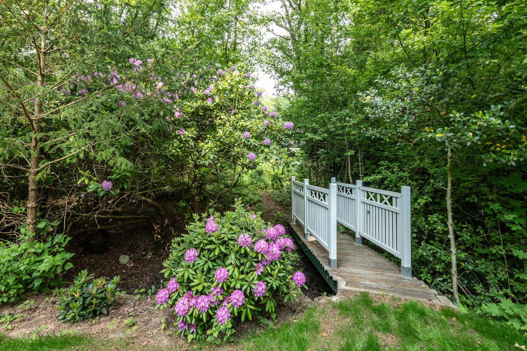 Foto 45 van Koeduinweg 1