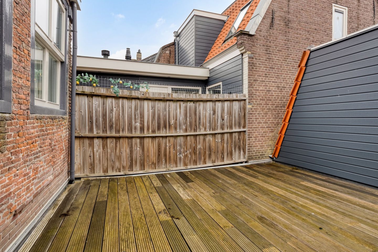 Photo 14 of Nieuwe Noord 5
