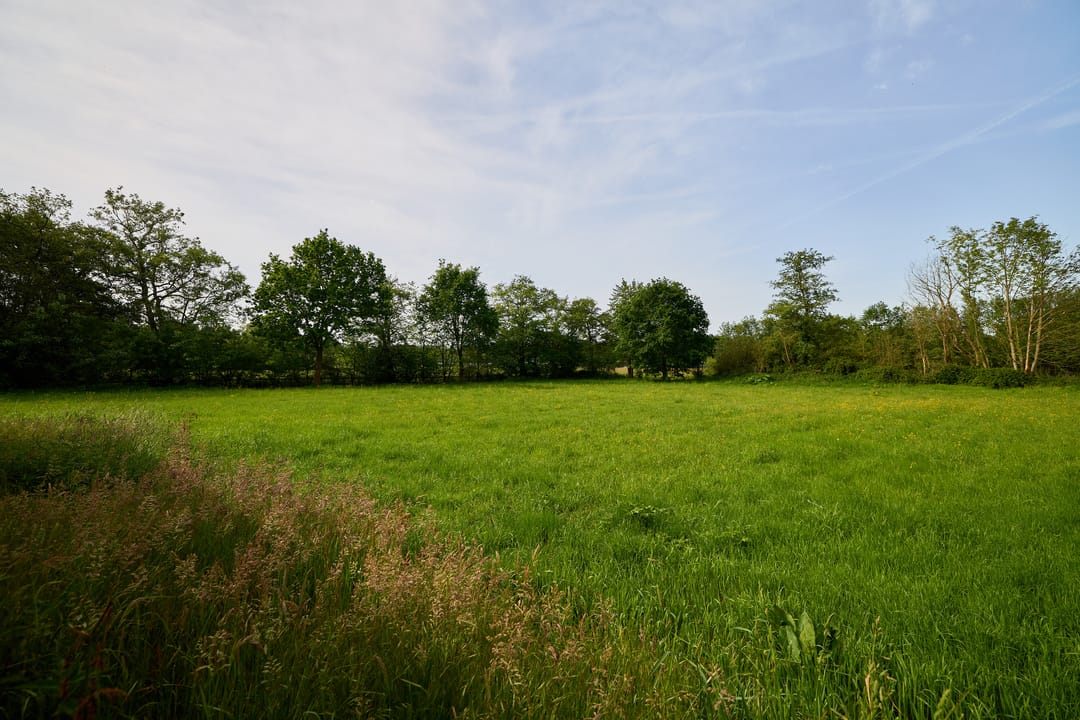 Photo 17 of Veenpad 12