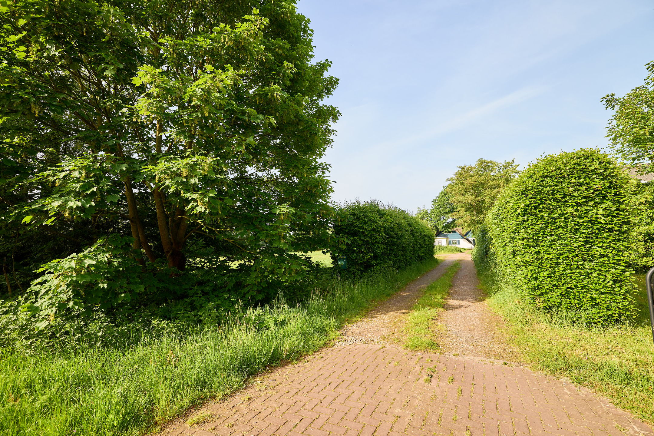 Photo 6 of Veenpad 12