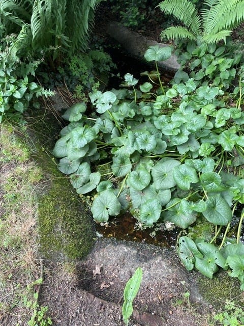 Foto 46 van Paulus Buyslaan 13