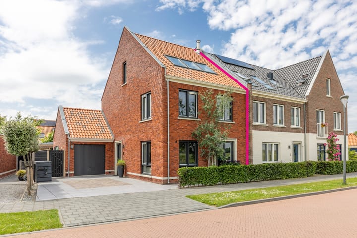 De Mus 5