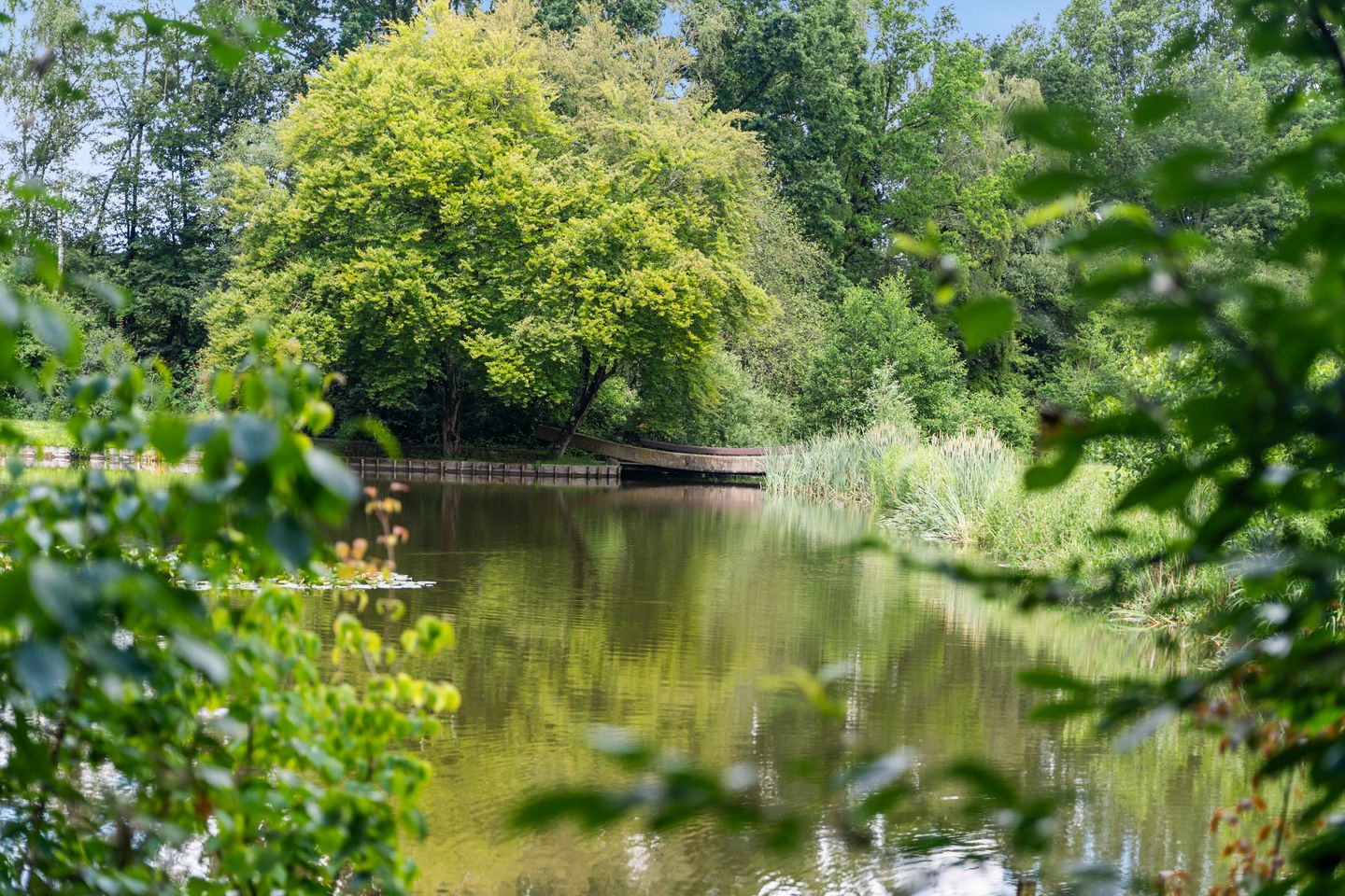 Photo 5 of Lindesingel 120