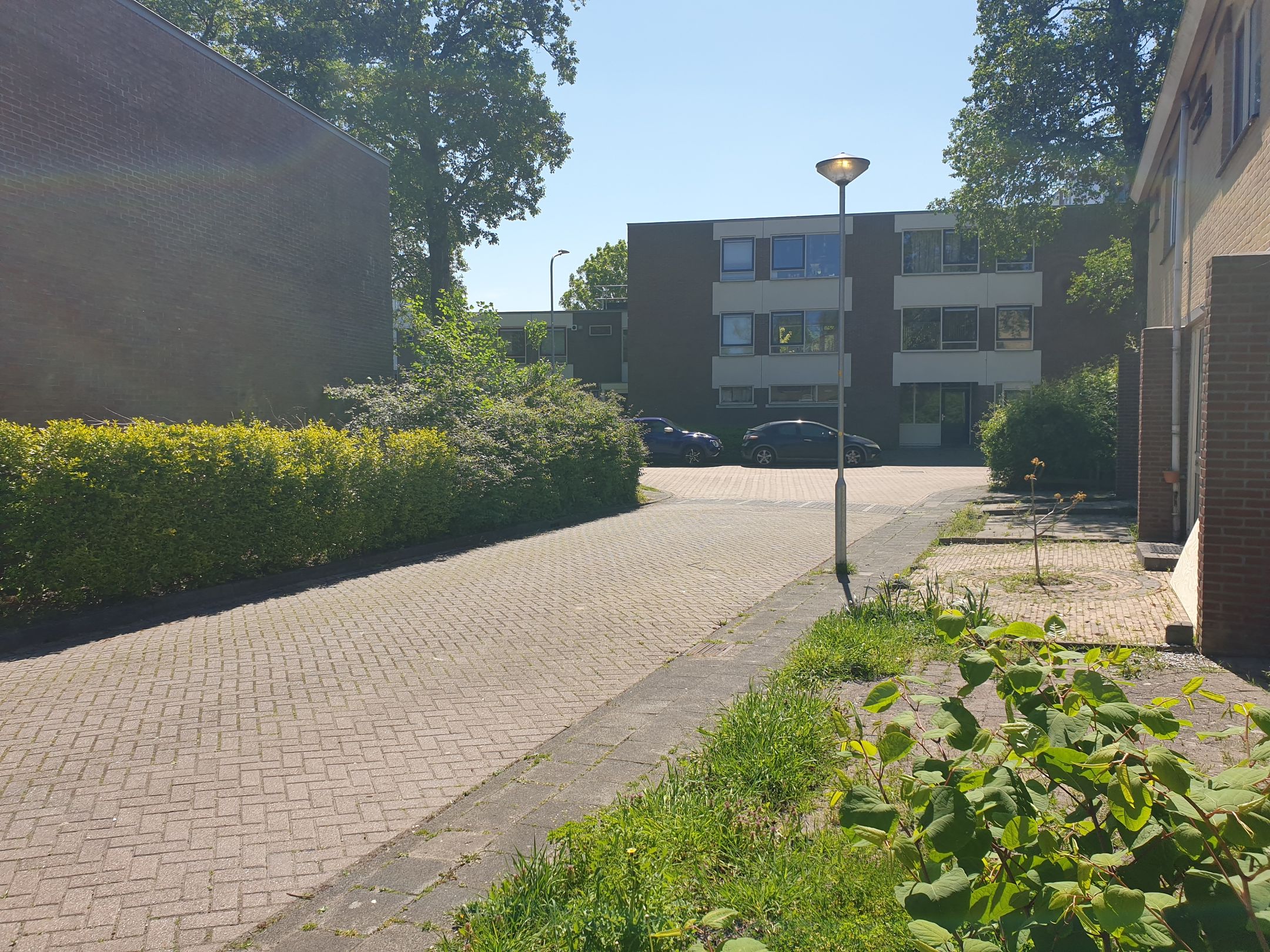 Foto 3 van Elzenbaan 13