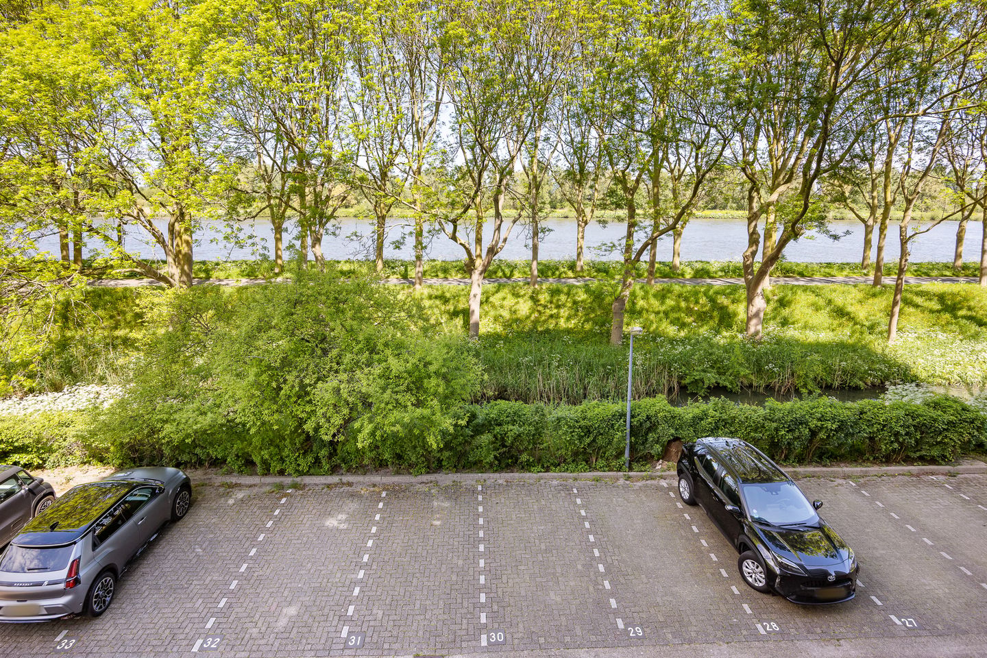 Photo 14 of Meerkoet 109