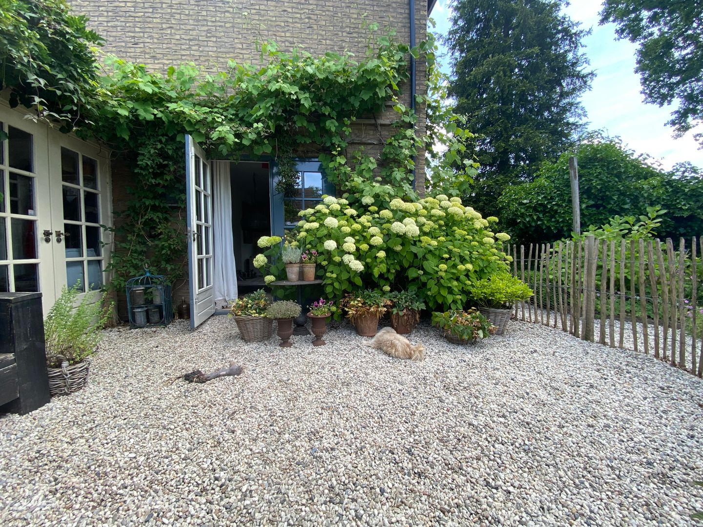 Foto 5 van Laan van het Kwekebos 286