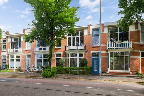 Willem Lodewijkstraat thumbnail