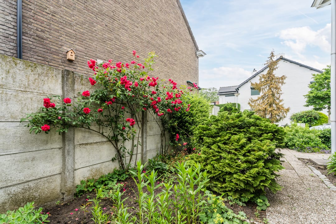 Photo 22 of Beatrixstraat 3