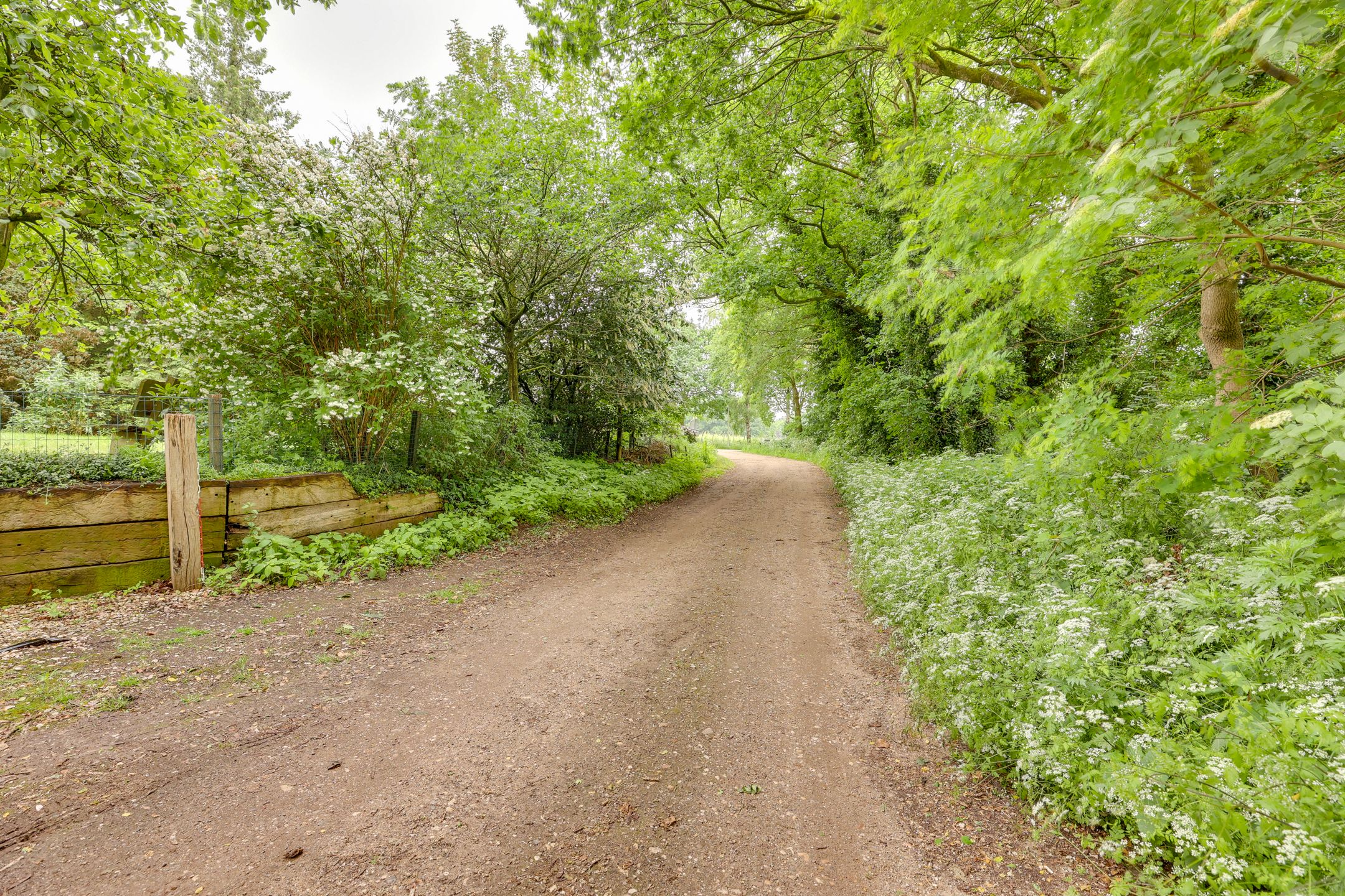 Photo 54 of Molenbelterweg 34