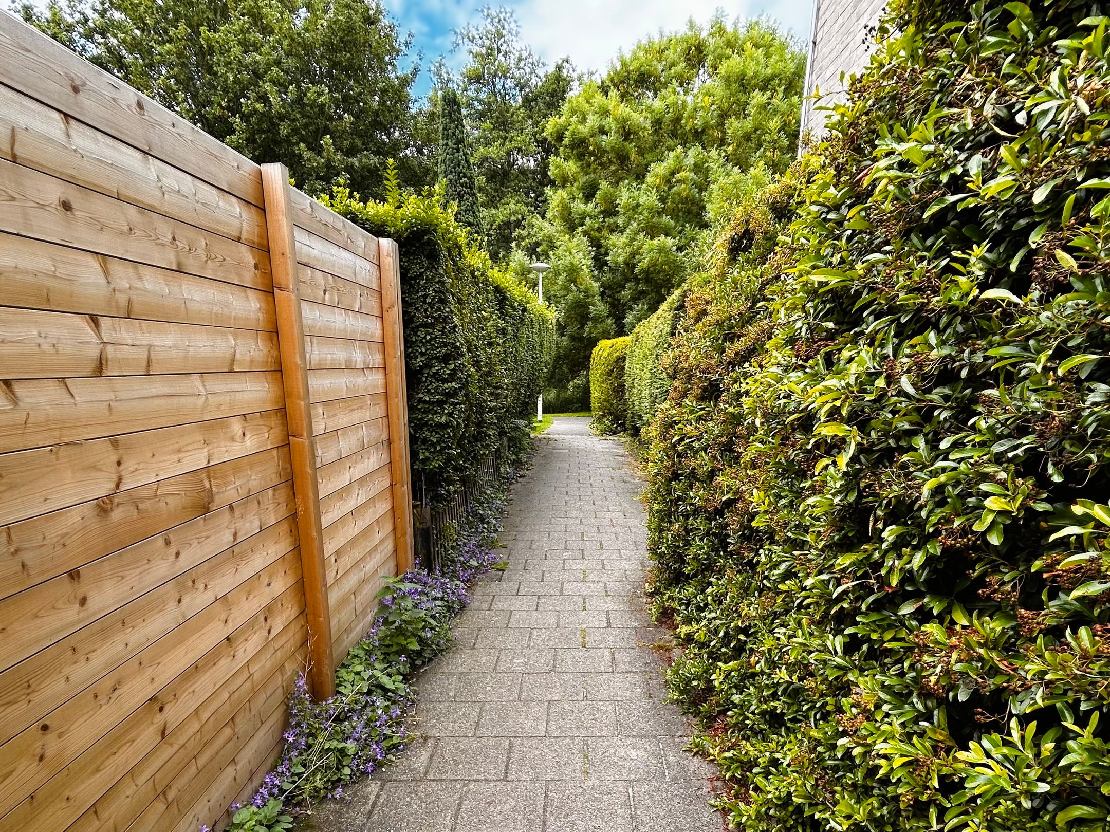 Photo 30 of Dr. L.J. Rogierstraat 58