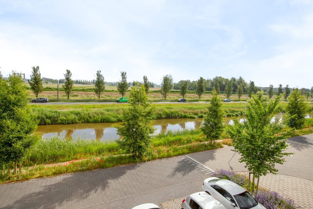 Photo 46 of Catharina Burierlaan 37