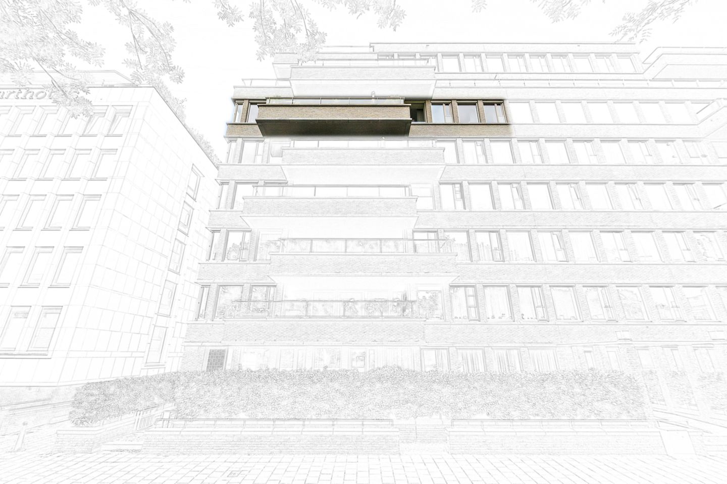 Foto 5 van Stadhoudersplantsoen 22-V