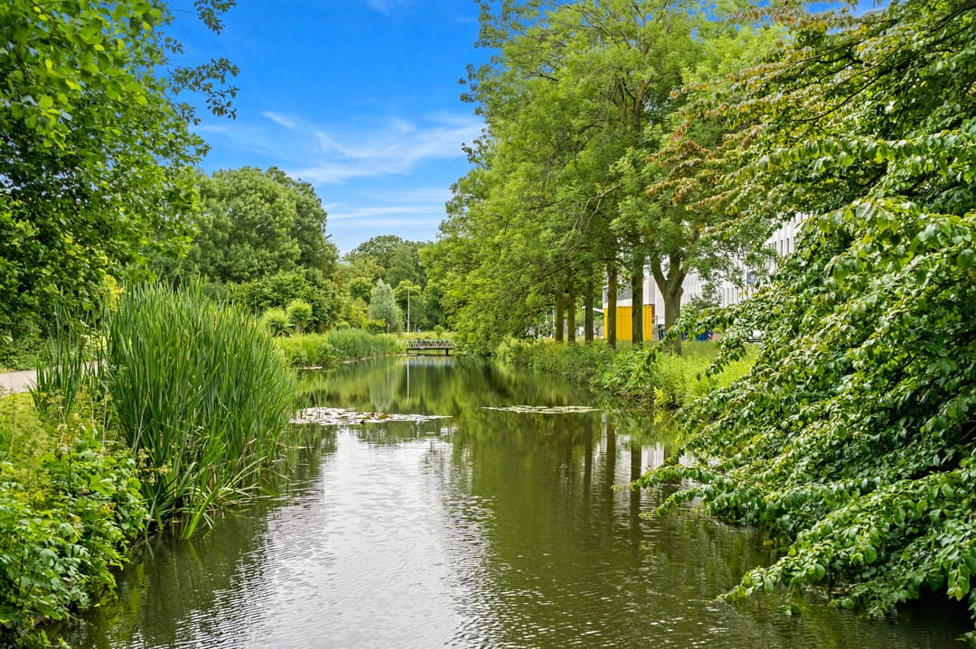 Foto 41 van Stadhoudersplantsoen 22-V