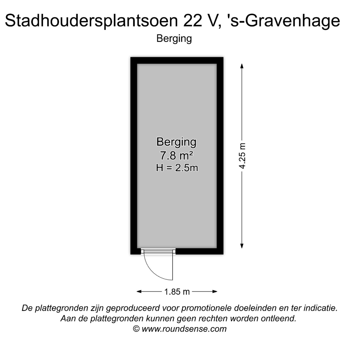 Foto 49 van Stadhoudersplantsoen 22-V