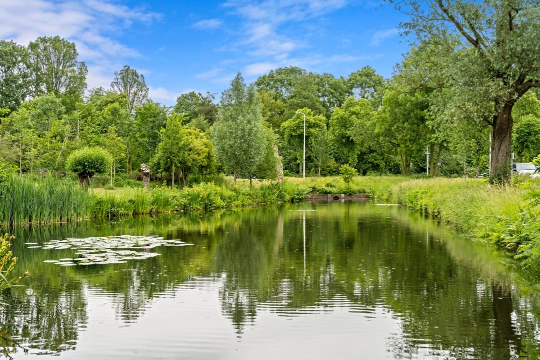 Foto 46 van Stadhoudersplantsoen 22-V
