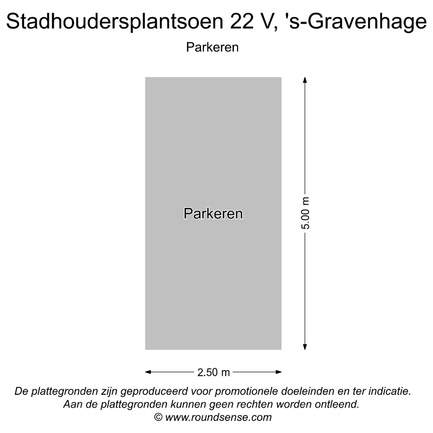 Foto 50 van Stadhoudersplantsoen 22-V