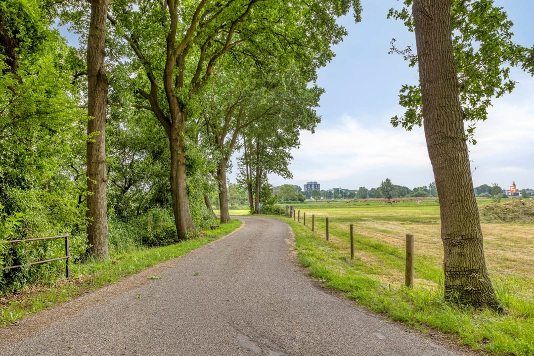 Photo 88 of Nieuweweg-noord 271