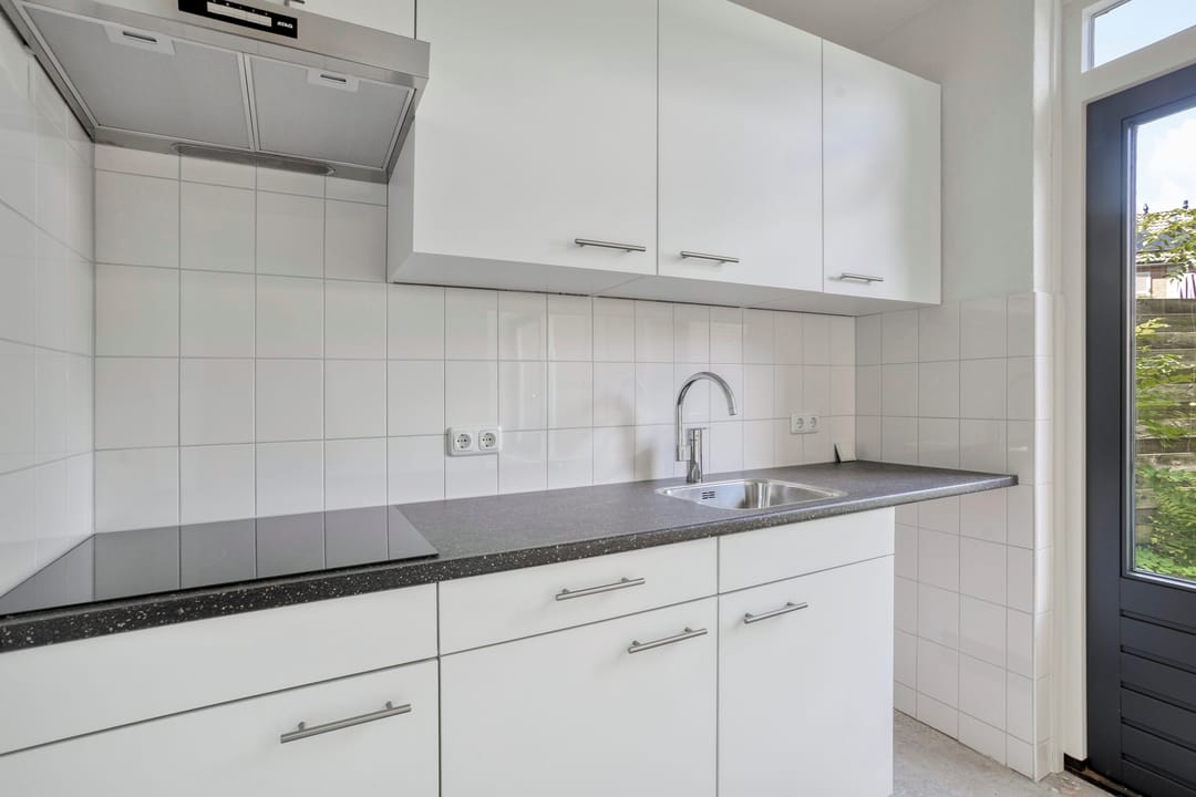 Foto 7 van Fossielenerf 540