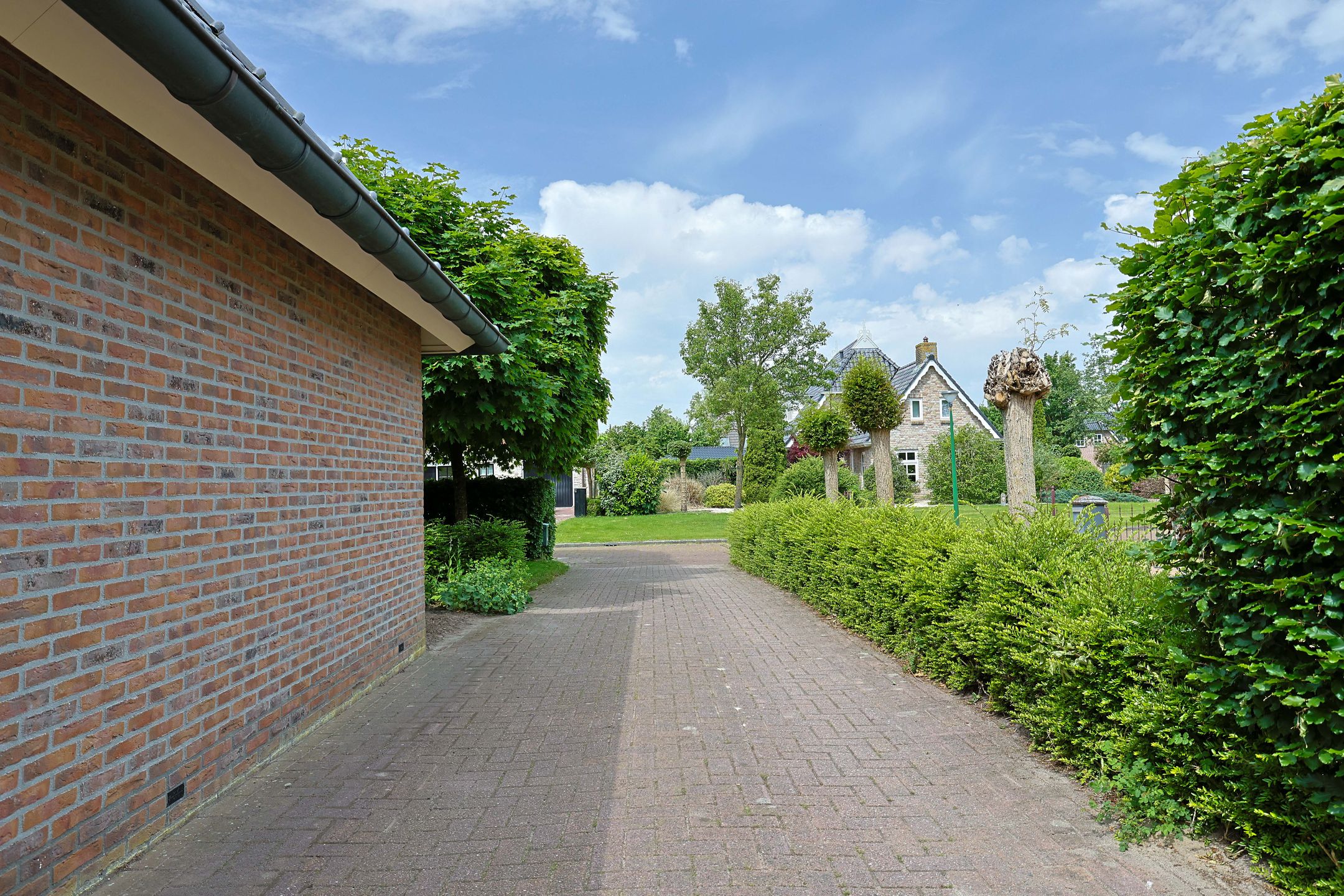 Foto 42 van Dwarsreed 4