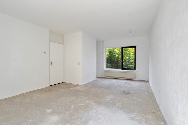 Foto 3 van Fossielenerf 540
