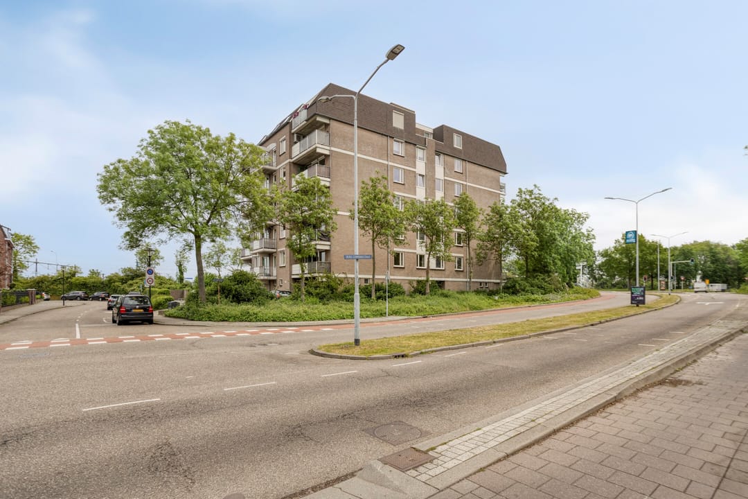 Foto 1 van van Laerstraat 62