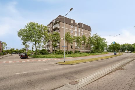 van Laerstraat thumbnail