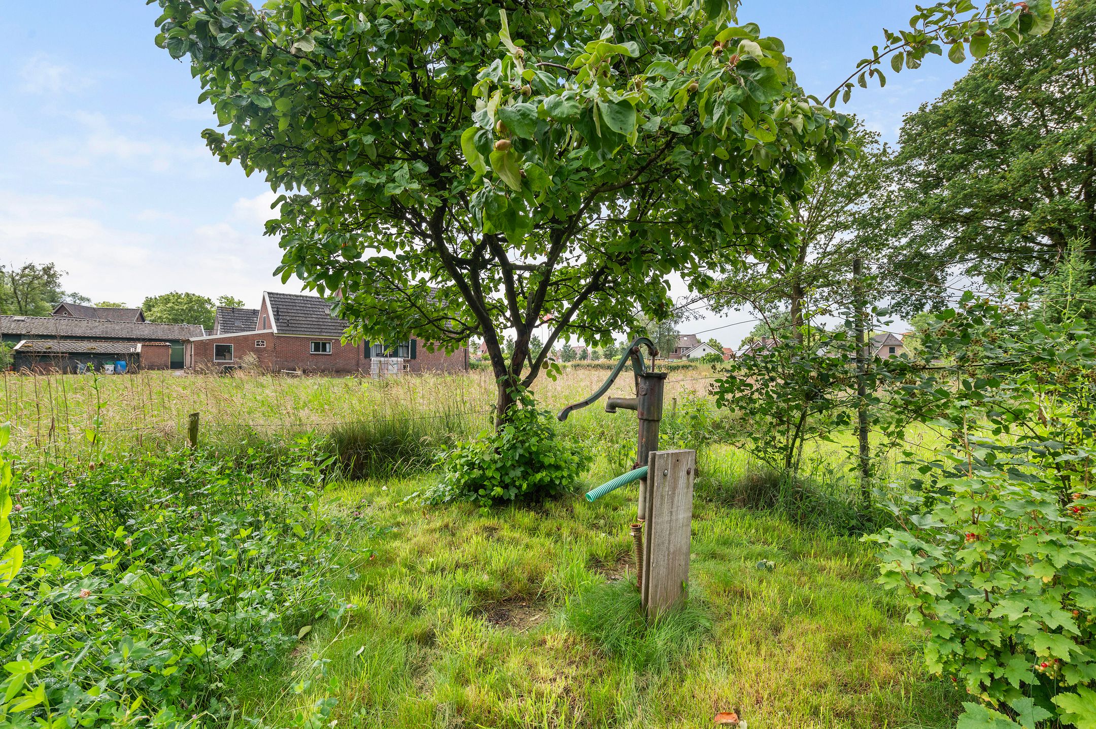 Photo 54 of Rondweg 8