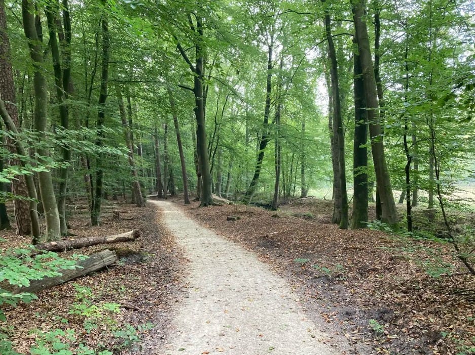 Foto 41 van Thorbeckelaan 31