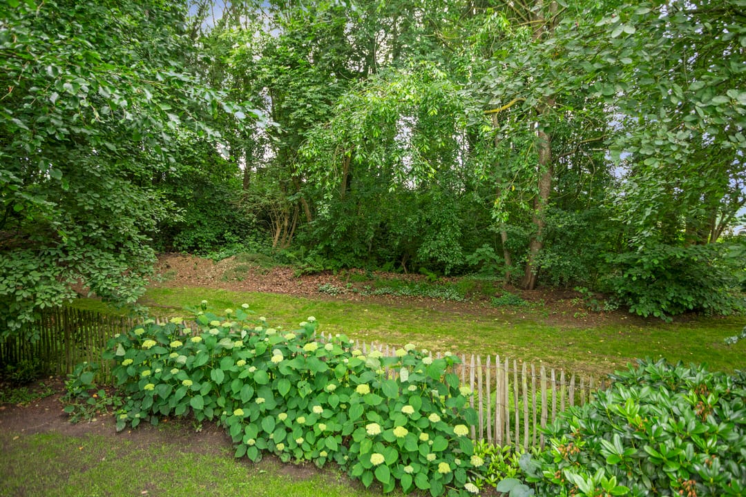 Foto 43 van Dwingelderdijk 23