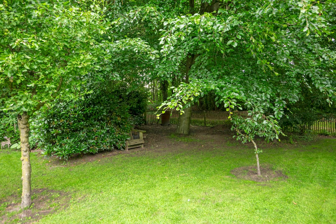 Photo 43 of Dwingelderdijk 23