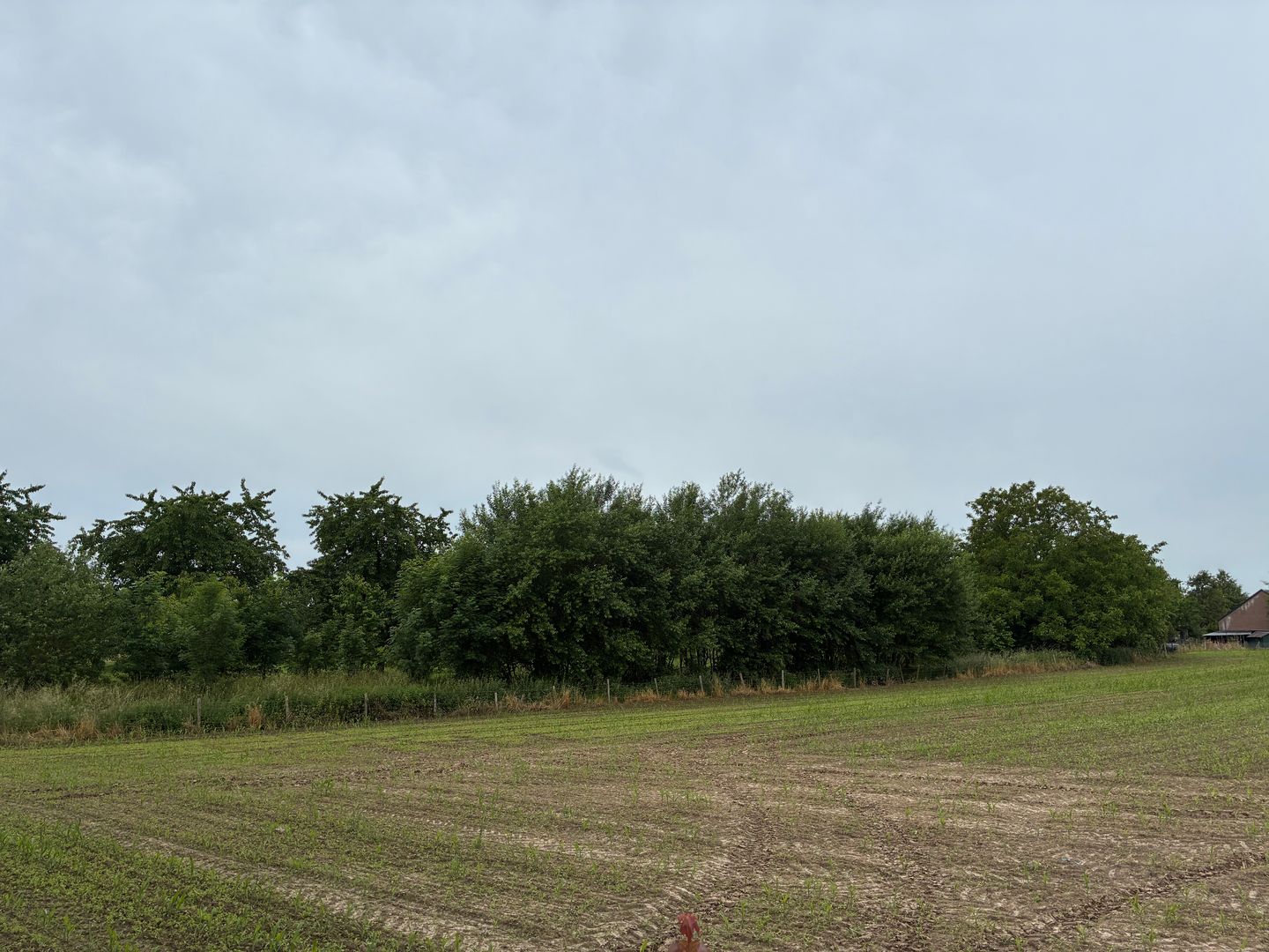 Bekijk foto 3 van Voerenweg