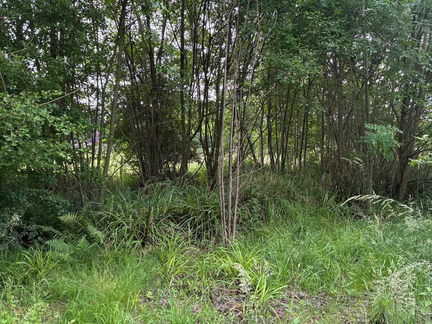 Bekijk foto 5 van Voerenweg