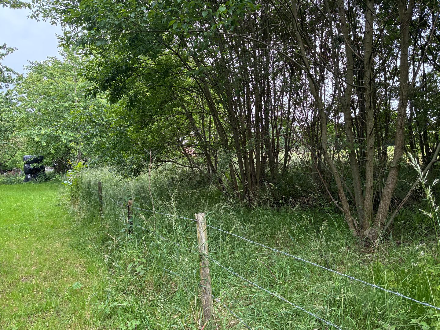 Voerenweg - Gronsveld - Afbeelding 7