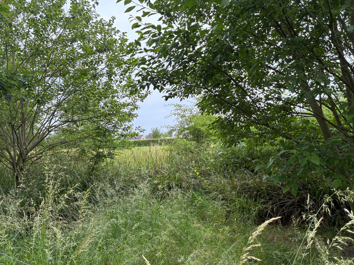 Bekijk foto 4 van Voerenweg