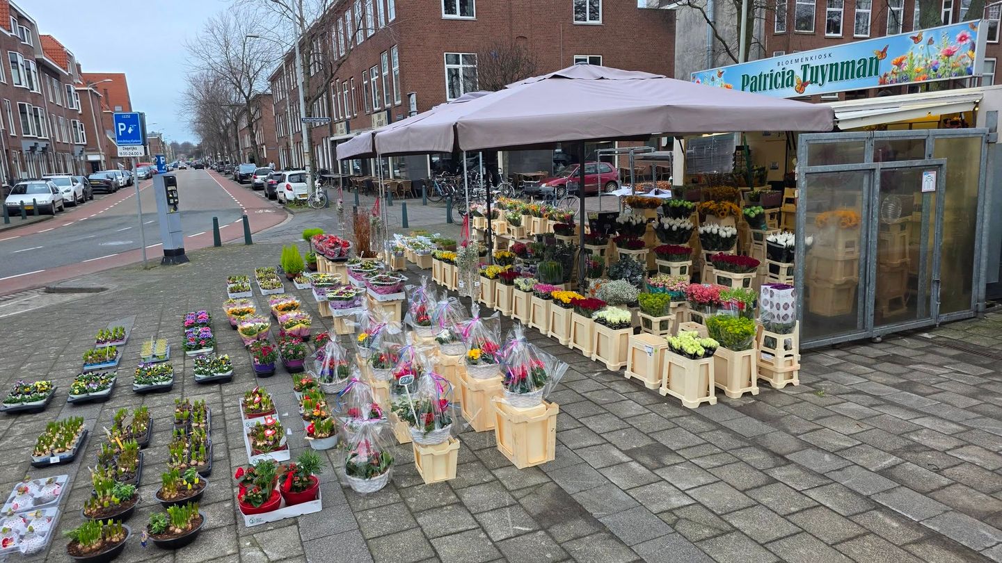 Bekijk foto 1 van Kamperfoelieplein 10-D