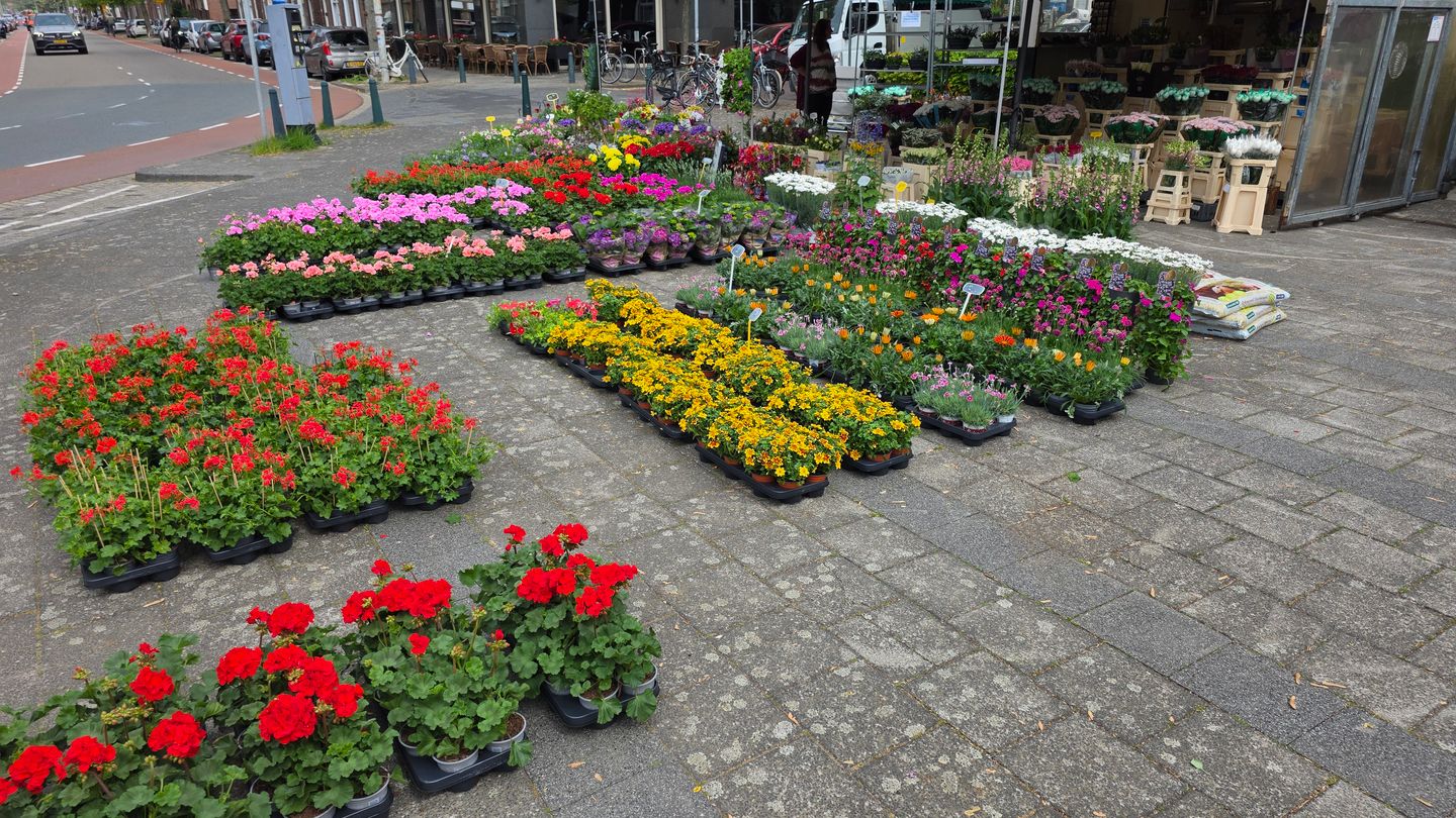 Bekijk foto 3 van Kamperfoelieplein 10-D