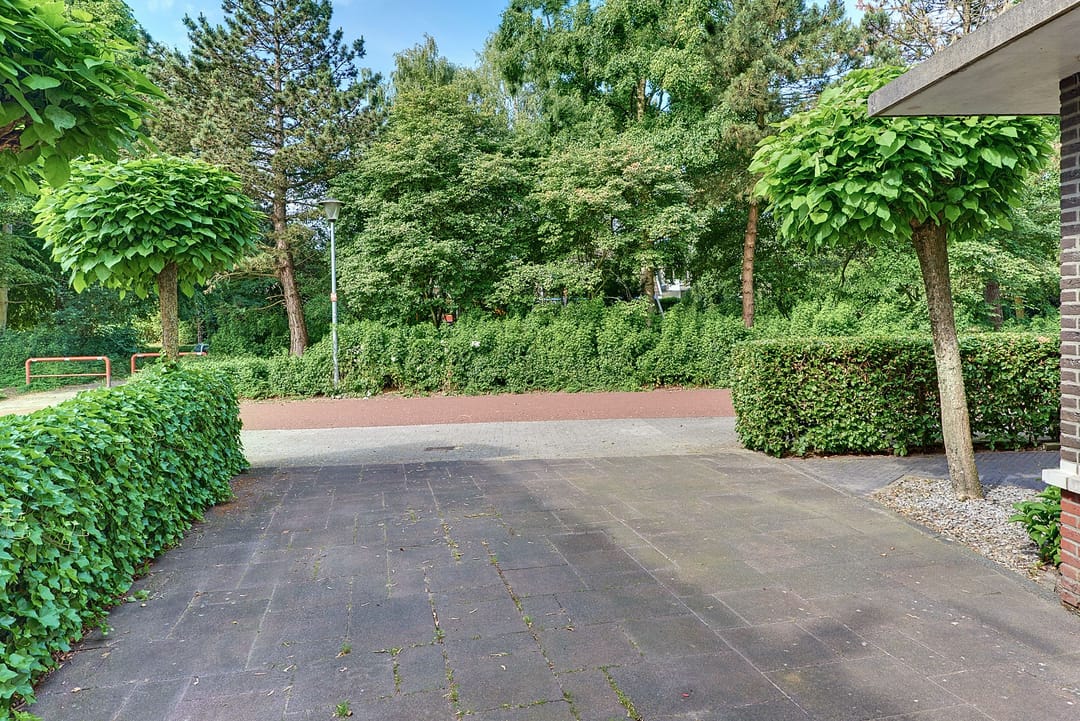 Photo 8 of Paardenkamp 7